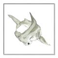 Picture of Hammerhead  _GroupedProduct_Square_Mini_ _GroupedProduct_Square_Canvas_Framed_