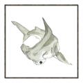 Picture of Hammerhead  _GroupedProduct_Square_Mini_ _GroupedProduct_Square_Canvas_Framed_