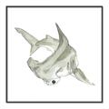 Picture of Hammerhead  _GroupedProduct_Square_Mini_ _GroupedProduct_Square_Canvas_Framed_