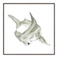 Picture of Hammerhead  _GroupedProduct_Square_Mini_ _GroupedProduct_Square_Canvas_Framed_