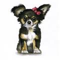 Picture of Pink Bow Chihuahua  _GroupedProduct_Square_Mini_ _GroupedProduct_Square_Unframed_Print_Only_