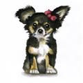 Picture of Pink Bow Chihuahua  _GroupedProduct_Square_Mini_ _GroupedProduct_Square_Unframed_Print_Only_