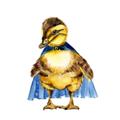 Picture of Captain Quack _GroupedProduct_Square_Mini_ _GroupedProduct_Square_Unframed_Print_Only_