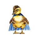 Picture of Captain Quack _GroupedProduct_Square_Mini_ _GroupedProduct_Square_Unframed_Print_Only_