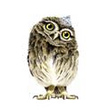 Picture of Princess Owl _GroupedProduct_Square_Mini_ _GroupedProduct_Square_Unframed_Print_Only_
