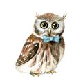 Picture of Oliver The Owl _GroupedProduct_Square_Mini_ _GroupedProduct_Square_Unframed_Print_Only_