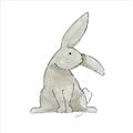 Picture of Baby Rabbit _GroupedProduct_Square_Mini_ _GroupedProduct_Square_Unframed_Print_Only_