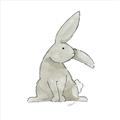 Picture of Baby Rabbit _GroupedProduct_Square_Mini_ _GroupedProduct_Square_Unframed_Print_Only_