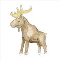 Picture of Baby moose _GroupedProduct_Square_Mini_ _GroupedProduct_Square_Unframed_Print_Only_