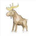 Picture of Baby moose _GroupedProduct_Square_Mini_ _GroupedProduct_Square_Unframed_Print_Only_