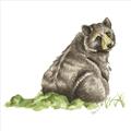Picture of Bear in grass _GroupedProduct_Square_Mini_ _GroupedProduct_Square_Unframed_Print_Only_