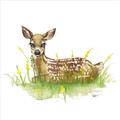Picture of Deer in grass _GroupedProduct_Square_Mini_ _GroupedProduct_Square_Unframed_Print_Only_