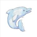 Picture of Blue Dolphin _GroupedProduct_Square_Mini_ _GroupedProduct_Square_Unframed_Print_Only_