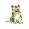 Picture of Little Lion _GroupedProduct_Square_Mini_ _GroupedProduct_Square_Unframed_Print_Only_
