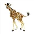 Picture of Little Giraffe _GroupedProduct_Square_Mini_ _GroupedProduct_Square_Unframed_Print_Only_