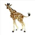 Picture of Little Giraffe _GroupedProduct_Square_Mini_ _GroupedProduct_Square_Unframed_Print_Only_