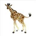 Picture of Little Giraffe _GroupedProduct_Square_Mini_ _GroupedProduct_Square_Unframed_Print_Only_