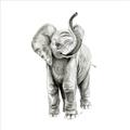 Picture of Little Elephant _GroupedProduct_Square_Mini_ _GroupedProduct_Square_Unframed_Print_Only_