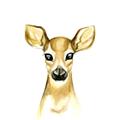Picture of Woodland Doe _GroupedProduct_Square_Mini_ _GroupedProduct_Square_Unframed_Print_Only_