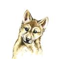 Picture of Woodland Wolf _GroupedProduct_Square_Mini_ _GroupedProduct_Square_Unframed_Print_Only_