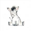 Picture of Baby Zebra _GroupedProduct_Square_Mini_ _GroupedProduct_Square_Unframed_Print_Only_