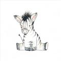 Picture of Baby Zebra _GroupedProduct_Square_Mini_ _GroupedProduct_Square_Unframed_Print_Only_