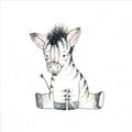 Picture of Baby Zebra _GroupedProduct_Square_Mini_ _GroupedProduct_Square_Unframed_Print_Only_