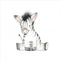 Picture of Baby Zebra _GroupedProduct_Square_Mini_ _GroupedProduct_Square_Unframed_Print_Only_