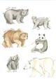 Picture of Bears _GroupedProduct_Rectangle_Portrait_Mini_ _GroupedProduct_Rectangle_Portrait_Unframed_Print_Only_