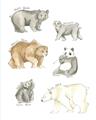 Picture of Bears _GroupedProduct_Rectangle_Portrait_Mini_ _GroupedProduct_Rectangle_Portrait_Unframed_Print_Only_