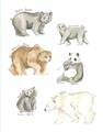Picture of Bears _GroupedProduct_Rectangle_Portrait_Mini_ _GroupedProduct_Rectangle_Portrait_Unframed_Print_Only_