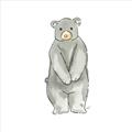 Picture of Little Bear _GroupedProduct_Square_Mini_ _GroupedProduct_Square_Unframed_Print_Only_