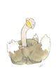 Picture of Silly Ostrich  _GroupedProduct_Rectangle_Portrait_Mini_ _GroupedProduct_Rectangle_Portrait_Unframed_Print_Only_
