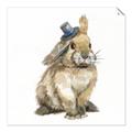 Picture of Baby Brown Bunny _GroupedProduct_Square_Mini_ _GroupedProduct_Square_Unframed_Print_Only_