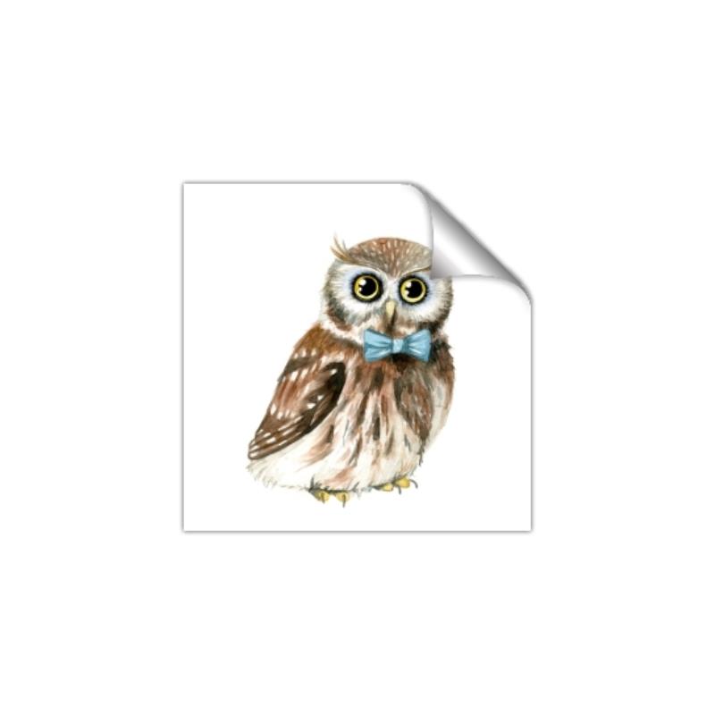 Picture of Oliver The Owl _GroupedProduct_Square_Mini_ _GroupedProduct_Square_Unframed_Print_Only_