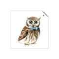 Picture of Oliver The Owl _GroupedProduct_Square_Mini_ _GroupedProduct_Square_Unframed_Print_Only_