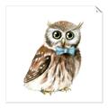 Picture of Oliver The Owl _GroupedProduct_Square_Mini_ _GroupedProduct_Square_Unframed_Print_Only_