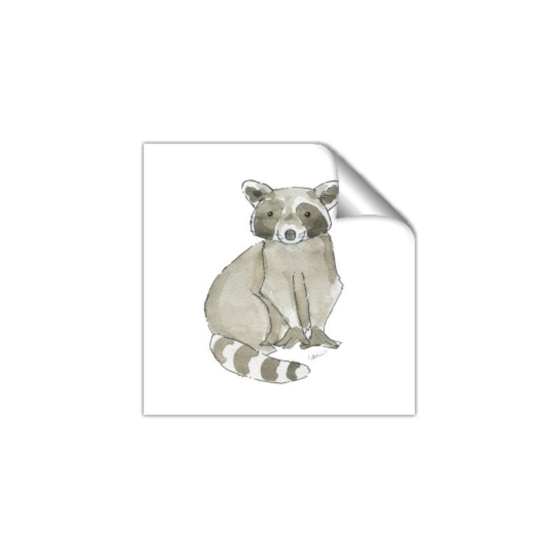 Picture of Baby Raccoon _GroupedProduct_Square_Mini_ _GroupedProduct_Square_Unframed_Print_Only_