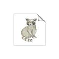 Picture of Baby Raccoon _GroupedProduct_Square_Mini_ _GroupedProduct_Square_Unframed_Print_Only_