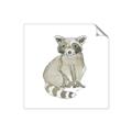Picture of Baby Raccoon _GroupedProduct_Square_Mini_ _GroupedProduct_Square_Unframed_Print_Only_