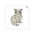 Picture of Baby Raccoon _GroupedProduct_Square_Mini_ _GroupedProduct_Square_Unframed_Print_Only_