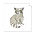 Picture of Baby Raccoon _GroupedProduct_Square_Mini_ _GroupedProduct_Square_Unframed_Print_Only_