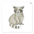 Picture of Baby Raccoon _GroupedProduct_Square_Mini_ _GroupedProduct_Square_Unframed_Print_Only_