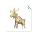 Picture of Baby moose _GroupedProduct_Square_Mini_ _GroupedProduct_Square_Unframed_Print_Only_