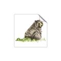 Picture of Bear in grass _GroupedProduct_Square_Mini_ _GroupedProduct_Square_Unframed_Print_Only_