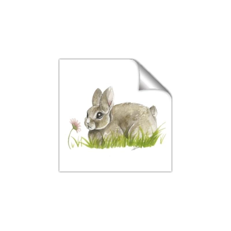 Picture of Bunny in grass _GroupedProduct_Square_Mini_ _GroupedProduct_Square_Unframed_Print_Only_