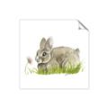 Picture of Bunny in grass _GroupedProduct_Square_Mini_ _GroupedProduct_Square_Unframed_Print_Only_