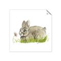 Picture of Bunny in grass _GroupedProduct_Square_Mini_ _GroupedProduct_Square_Unframed_Print_Only_