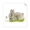 Picture of Bunny in grass _GroupedProduct_Square_Mini_ _GroupedProduct_Square_Unframed_Print_Only_