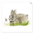 Picture of Bunny in grass _GroupedProduct_Square_Mini_ _GroupedProduct_Square_Unframed_Print_Only_